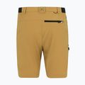 Herren-Trekkingshorts REGATTA Anti Insect Travel Light wood brown 6