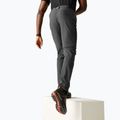 Herren-Trekkinghose REGATTA Anti Insect Travel Light ash 4
