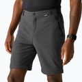 Herren-Trekkinghose REGATTA Anti Insect Travel Light ash 5
