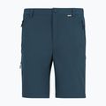 Herren-Trekkinghose REGATTA Anti Insect Travel Light night sky 4