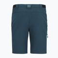 Herren-Trekkinghose REGATTA Anti Insect Travel Light night sky 5