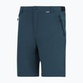 Herren-Trekkinghose REGATTA Anti Insect Travel Light night sky 6
