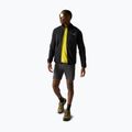 Fleecejacke für Herren REGATTA Fleece Scaris ash 2