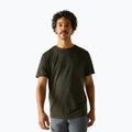 Herren-Trekkingshirt REGATTA Fingal Edition dark khaki