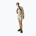 Trekkingshirt Herren REGATTA Fingal Edition light sage 2