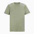 Trekkingshirt Herren REGATTA Fingal Edition light sage 5