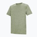 Herren-Trekkingshirt REGATTA Fingal Edition light sage 7
