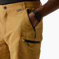 Herren-Trekkingshorts REGATTA Leesville III wood brown 5