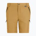 Herren-Trekkingshorts REGATTA Leesville III wood brown 6