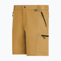 Herren-Trekkingshorts REGATTA Leesville III wood brown 8