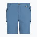 Herren-Trekkingshorts REGATTA Leesville III china blue 5