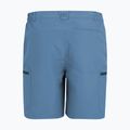 Herren-Trekkingshorts REGATTA Leesville III china blue 6