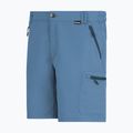 Herren-Trekkingshorts REGATTA Leesville III china blue 7
