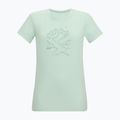 Damen-Trekkingshirt REGATTA Fingal ocean mist 5