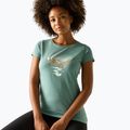 Damen-Trekkingshirt REGATTA Breezed ivy moss 4