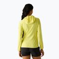 Damen-Trekkingsweatshirt REGATTA Huntdale canary yellow 3