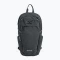 Cityrucksack REGATTA Everyday Prism 20 l ash
