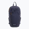 Cityrucksack REGATTA Everyday Prism 20 l night sky