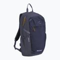 Cityrucksack REGATTA Everyday Prism 20 l night sky 2