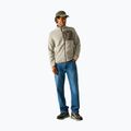 Fleecejacke für Herren REGATTA Frankie Borg abbeystone/smokey olive 2