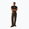 Herren-Shirt REGATTA ClineIX black explore forest 2
