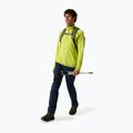 Softshell-Hose für Herren REGATTA Geo Softshell navy 2