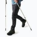 Softshell-Hose für Herren REGATTA Geo Softshell ash