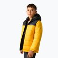 Gefütterte Kinderjacke REGATTA Lofthouse black/mustard 5