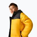 Gefütterte Kinderjacke REGATTA Lofthouse black/mustard 6