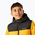 Gefütterte Kinderjacke REGATTA Lofthouse black/mustard 7