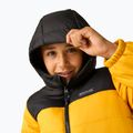 Gefütterte Kinderjacke REGATTA Lofthouse black/mustard 8