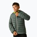 Gefütterte Kinderjacke REGATTA Lofthouse dark forest green/wild lime 4