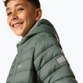 Gefütterte Kinderjacke REGATTA Lofthouse dark forest green/wild lime 9