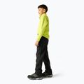Kinder-Trekkinghose REGATTA Highton Winter RKJ176 black 3