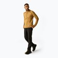 Fleecejacke für Herren REGATTA Yonder II wood brown 2