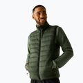 Herrenweste REGATTA Marizion B/W dark khaki