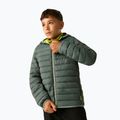 Daunenjacke für Kinder REGATTA Hooded Marizion dark forest green/wild lime 6