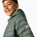 Daunenjacke für Kinder REGATTA Hooded Marizion dark forest green/wild lime 9