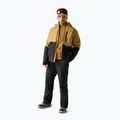Herren-Skijacke Dare2B Halfpipe IV Jacket wood brown/black 2