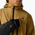 Herren-Skijacke Dare2B Halfpipe IV Jacket wood brown/black 5