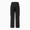Herren Skihose Dare 2b Baseplate Insulated Pant black 11