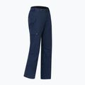 Herren Skihose Dare 2b Baseplate Insulated Pant navy 11