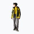 Herrenjacke Dare 2b Assimilate II Jacket mango mint/black 3