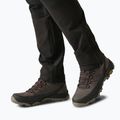 Herren-Trekkingstiefel REGATTA Blake peat/burnt henna 5