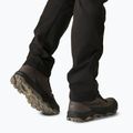 Herren-Trekkingstiefel REGATTA Blake peat/burnt henna 9