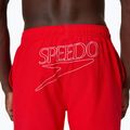 Herren-Badeshorts Speedo Classic Logo Volley 16" High Risk Red 6
