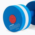 Aqua-Aerobic-Hanteln Speedo Aquatic Fitness Dumbbell 2 pack Speedo Blue/White 2