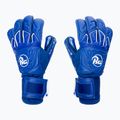 Torwarthandschuhe RG Snaga Aqua 21/22 blau 218