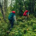Gregory Amber 34 l grüner Trekking-Rucksack 126867 7