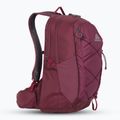 Gregory Kiro 22 l Amethyst lila Wanderrucksack 2